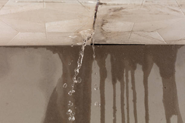 Professional Flood Damage Cleanup technician working in Baileyville, IL